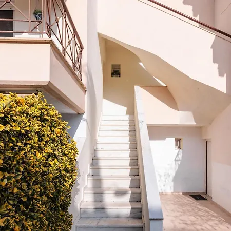 F & B Summer Collection - Kassandra -